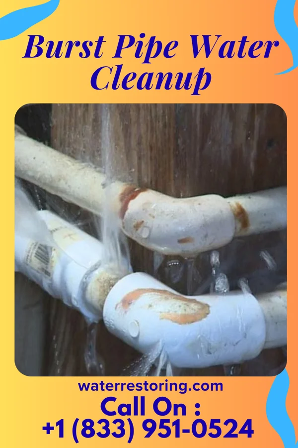 Burst Pipe Water Cleanup in Rancho Alegre, TX