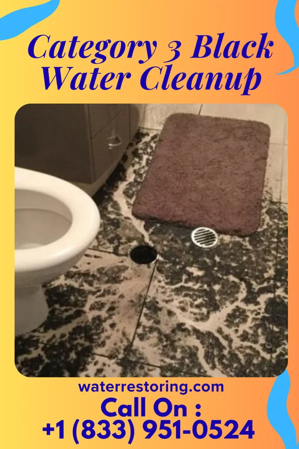 Category 3 Black Water Cleanup in Rancho Alegre, TX