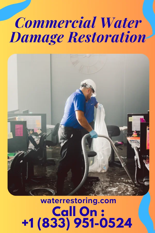 Commercial Water Damage Restoration in Rancho Alegre, TX