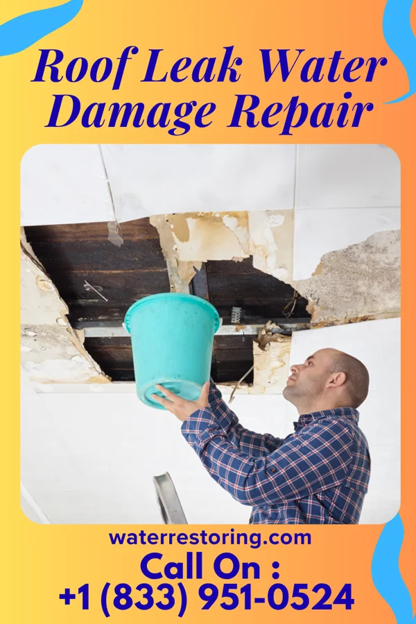 Roof Leak Water Damage Repair in Rancho Alegre, TX